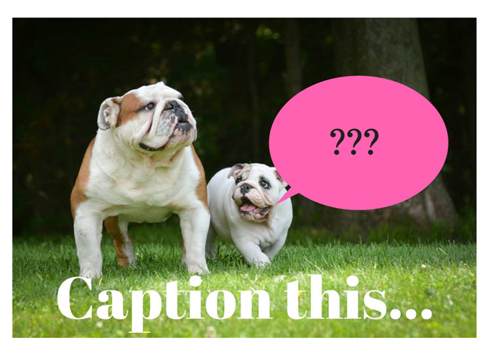 caption-this