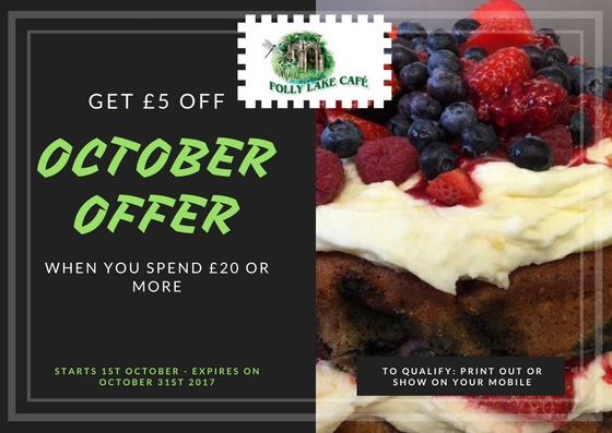 Follyoctoberoffer